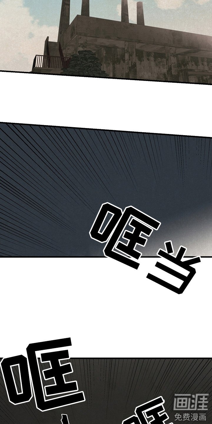 第4章：野外调查