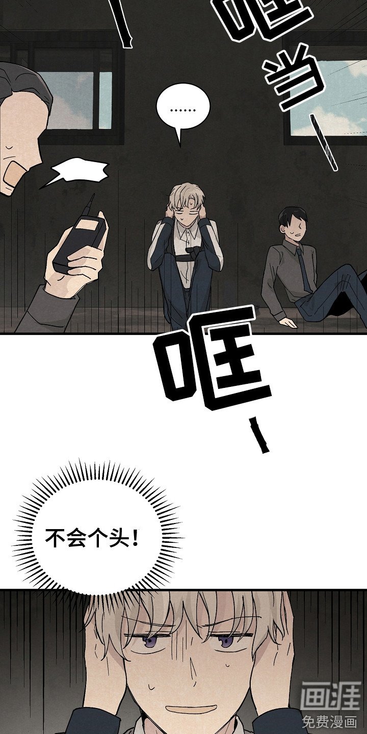 第4章：野外调查