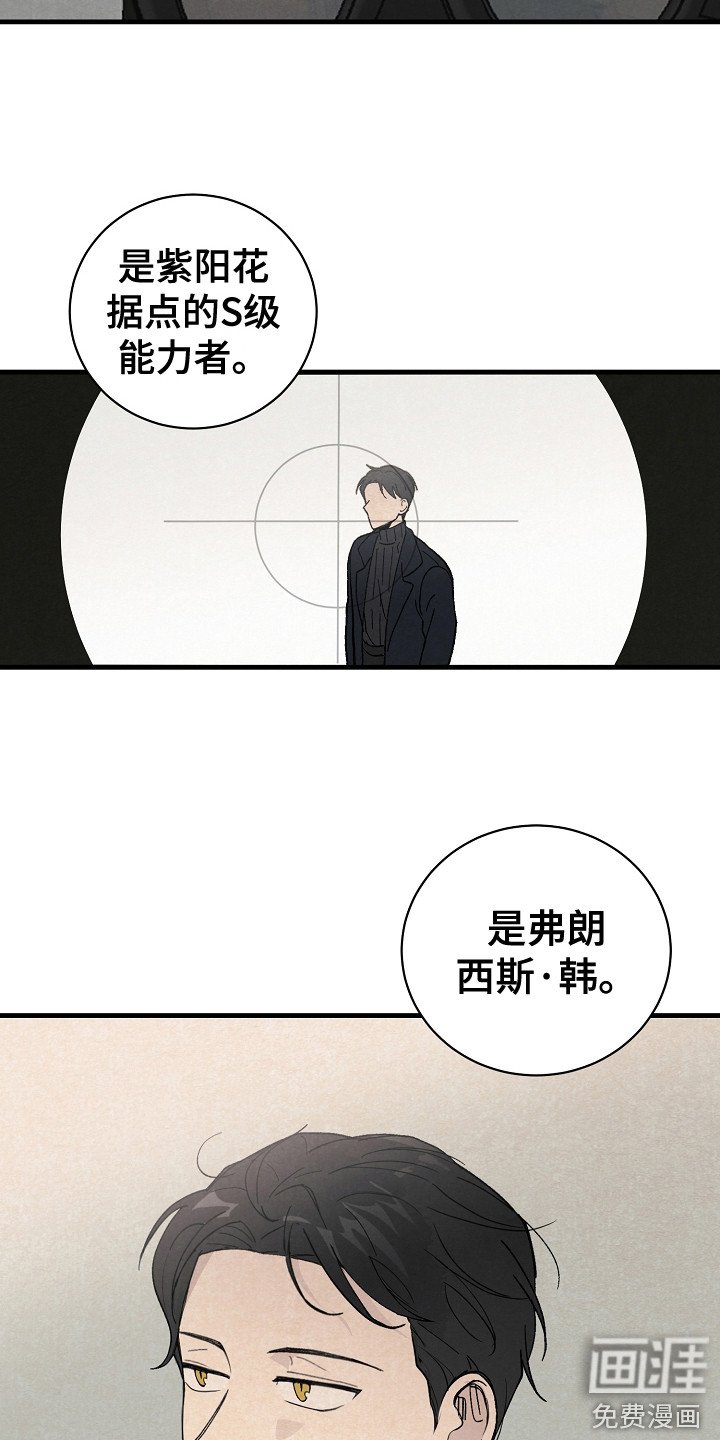 第4章：野外调查
