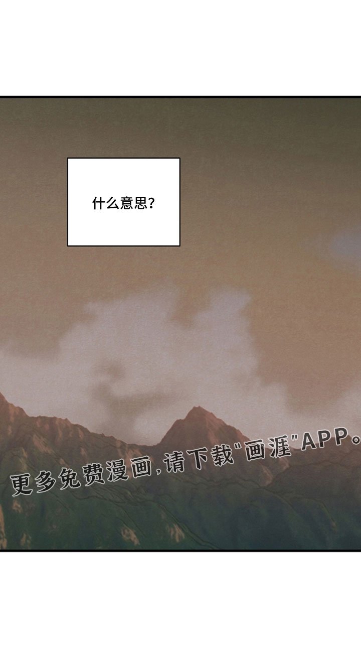 第41章：到底什么意思