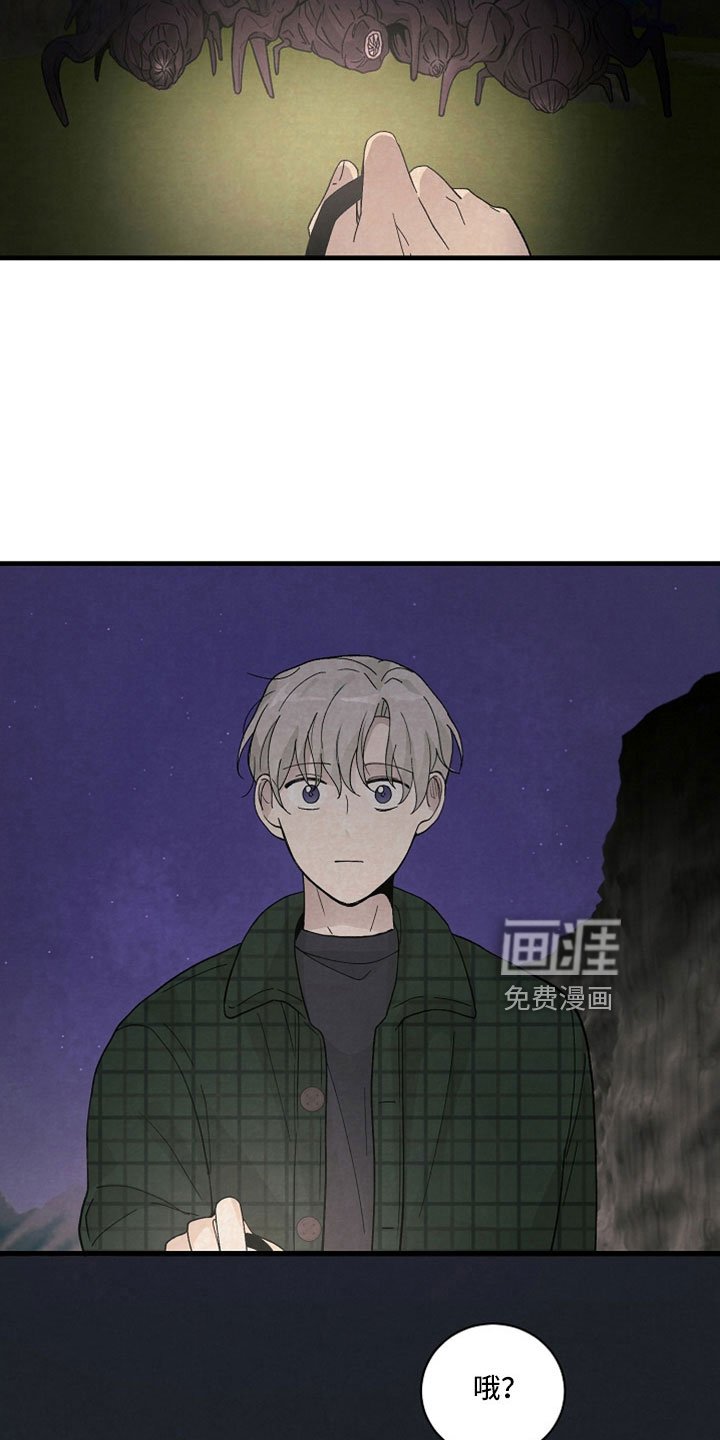第46章：成为猎物