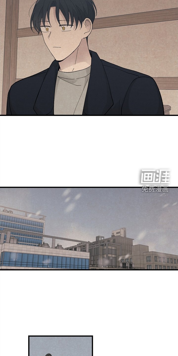 第61章：苏醒
