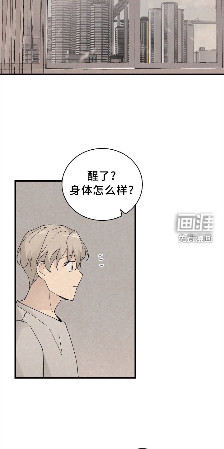 第62章：确认