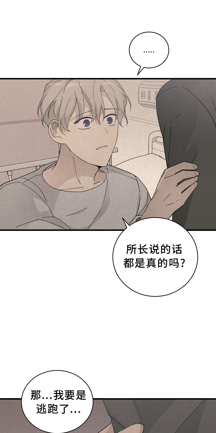 第62章：确认