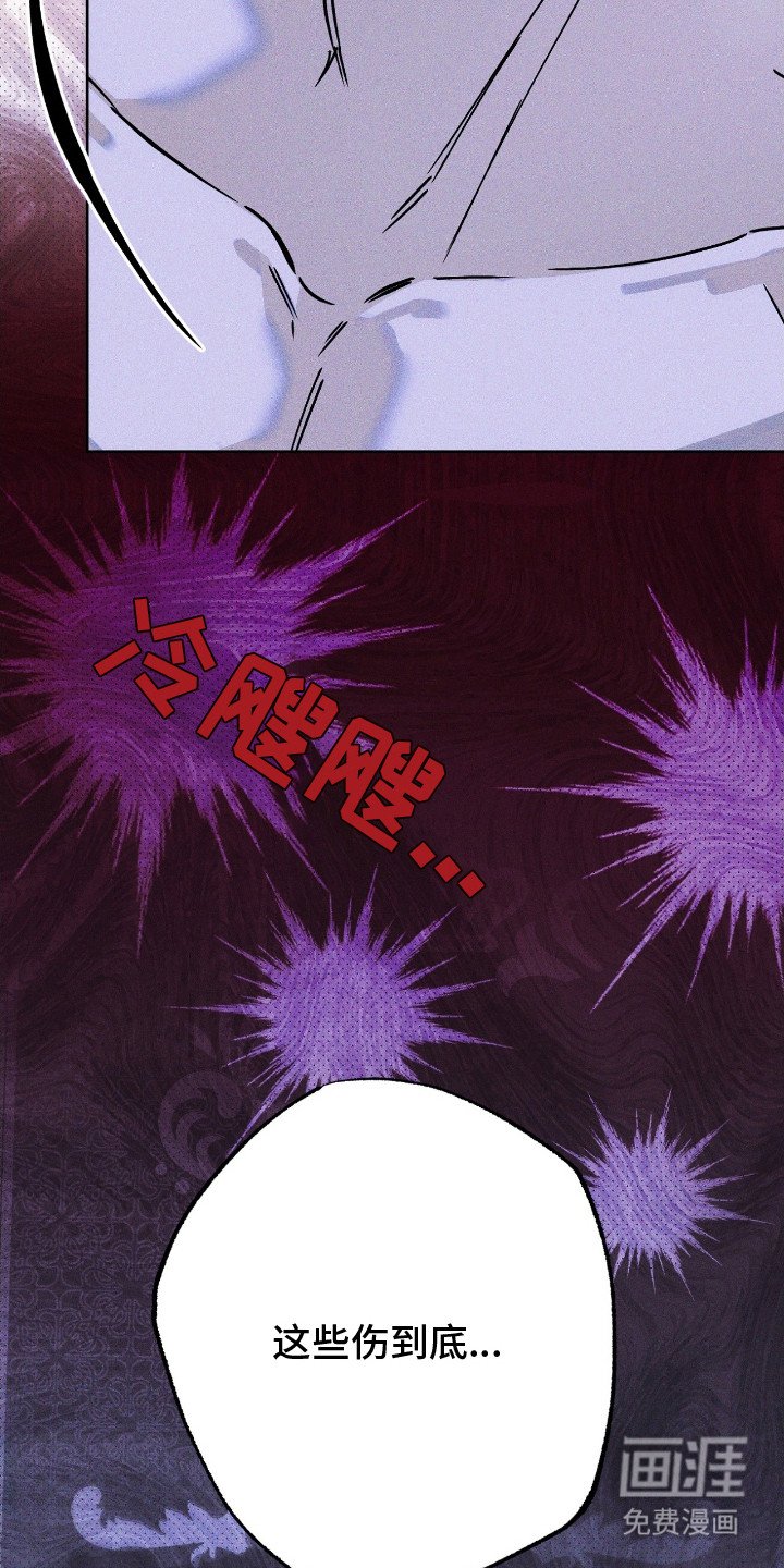 第14章：伤痕