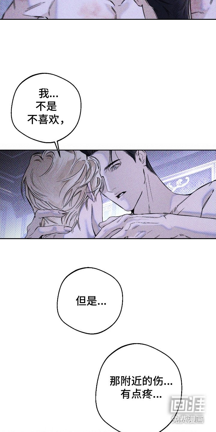 第14章：伤痕