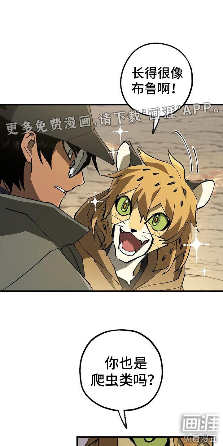 第10章：反对