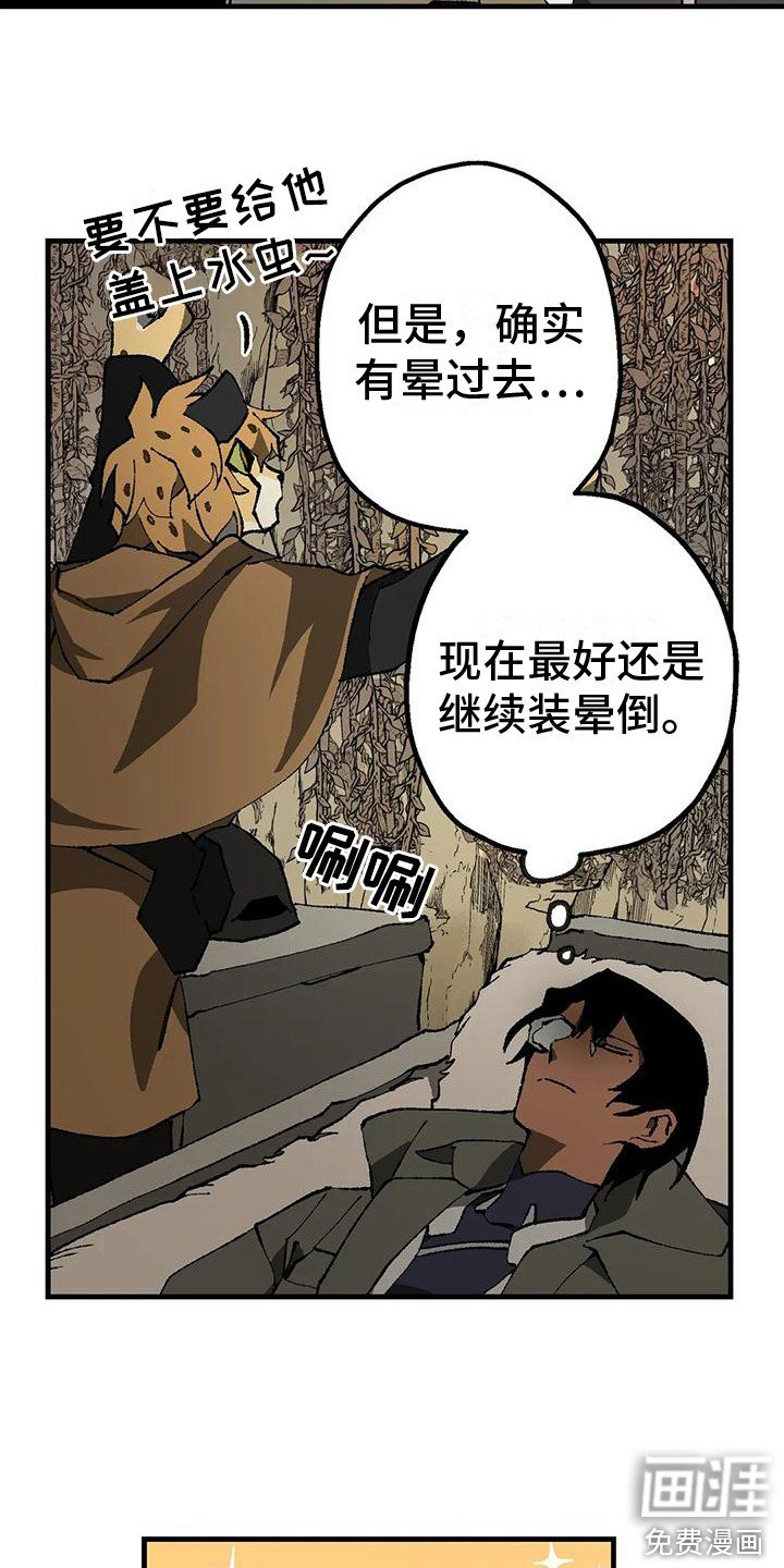 第11章：好奇