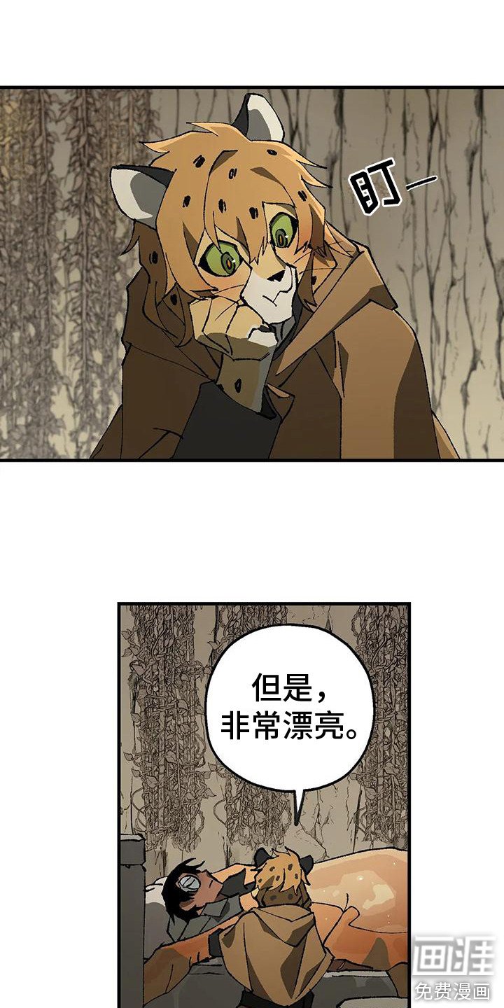 第11章：好奇