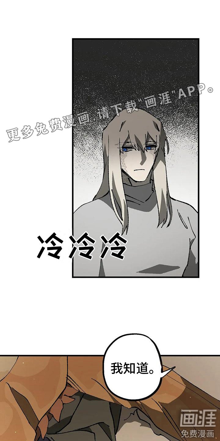 第12章：解释