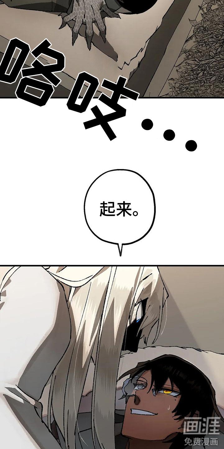 第12章：解释