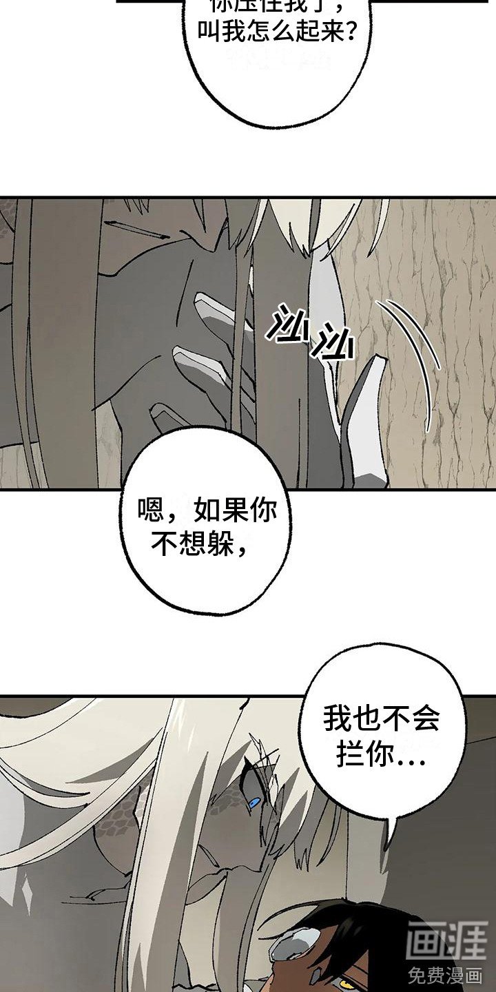第12章：解释