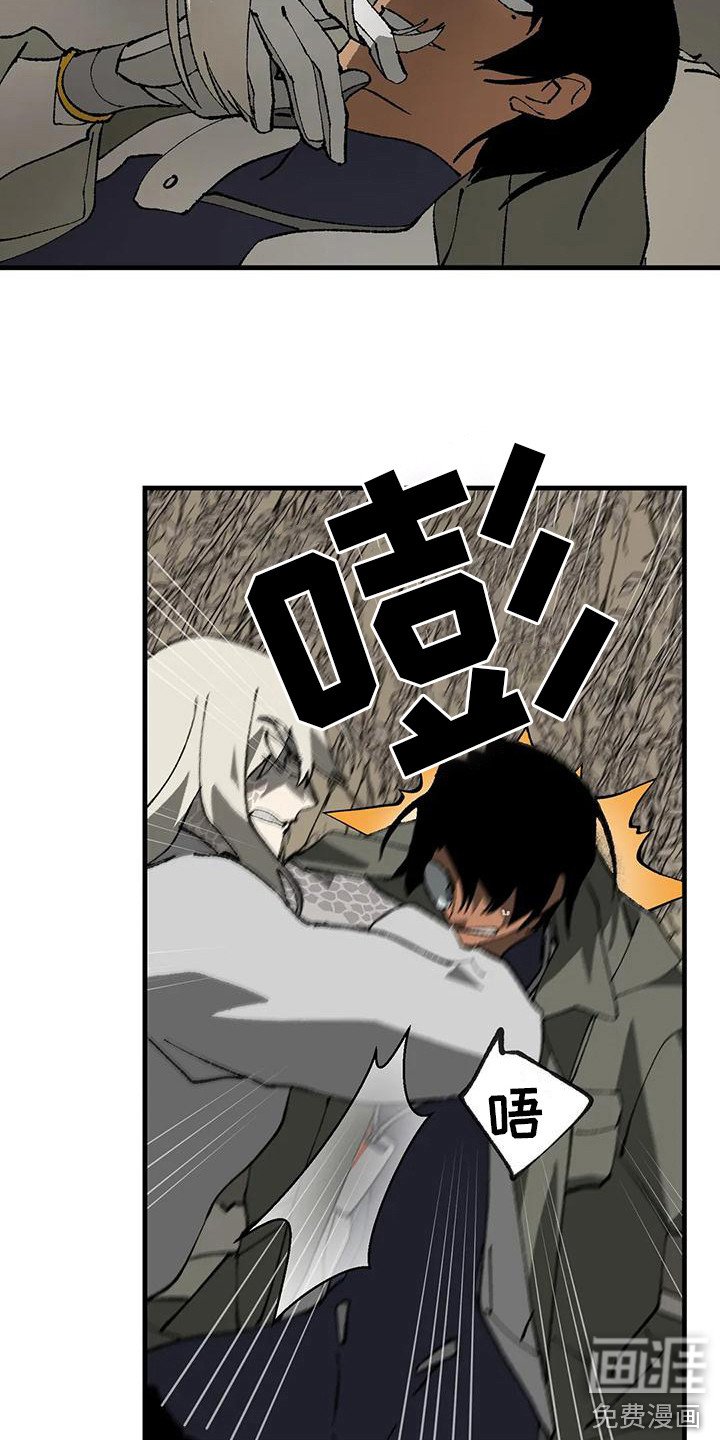 第12章：解释