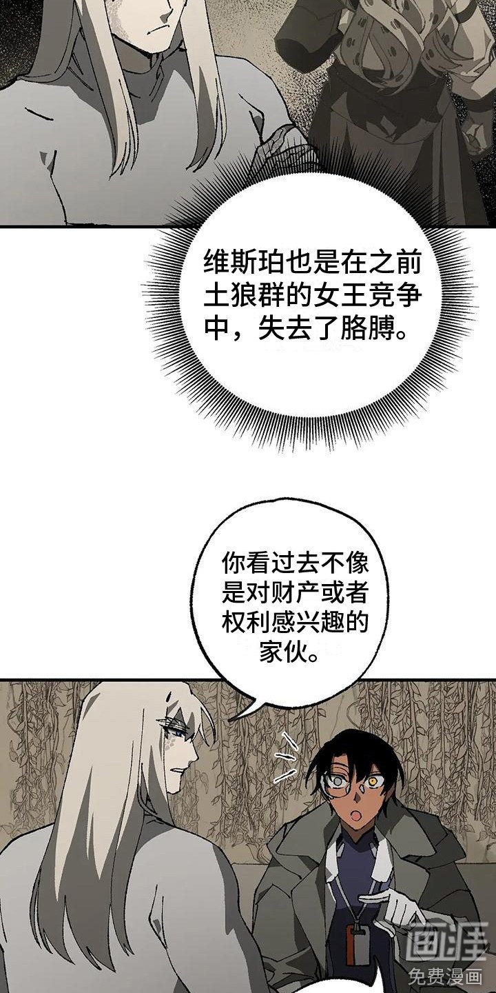 第12章：解释