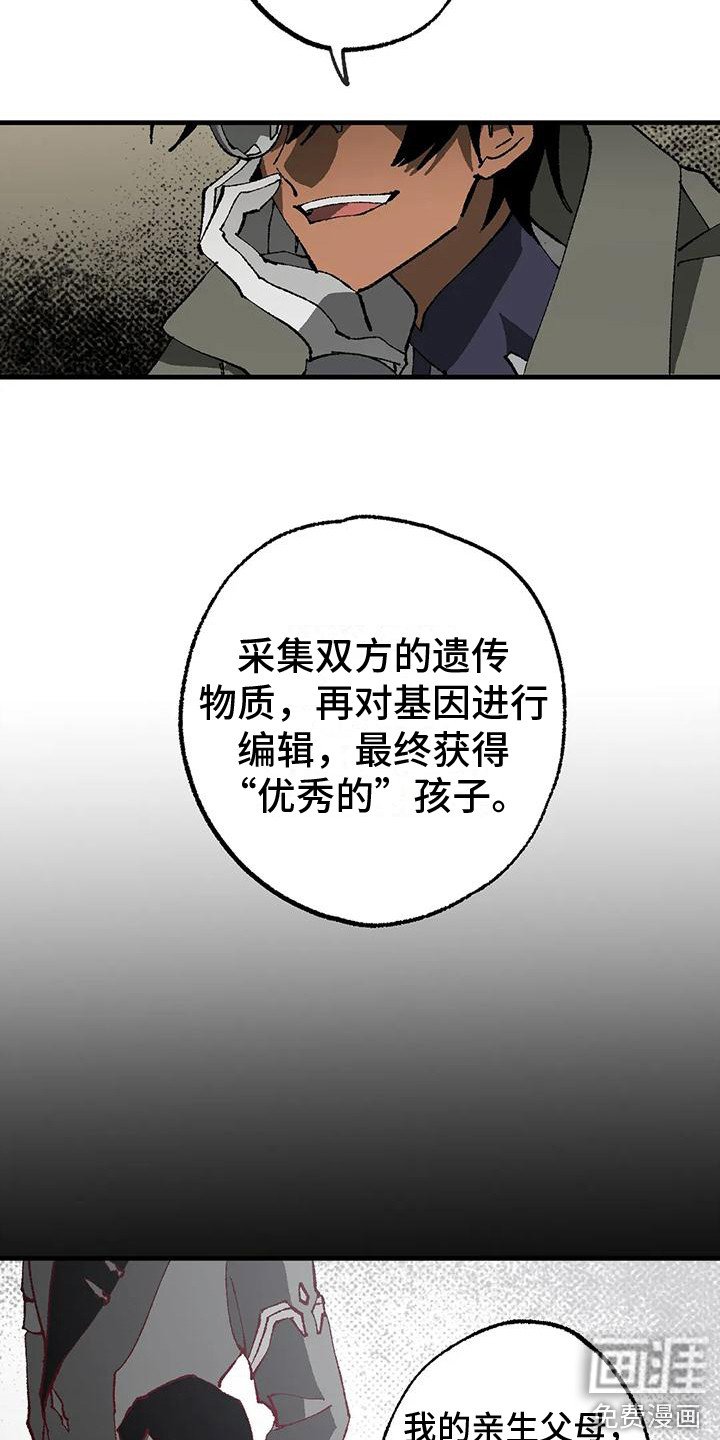 第13章：权力之争