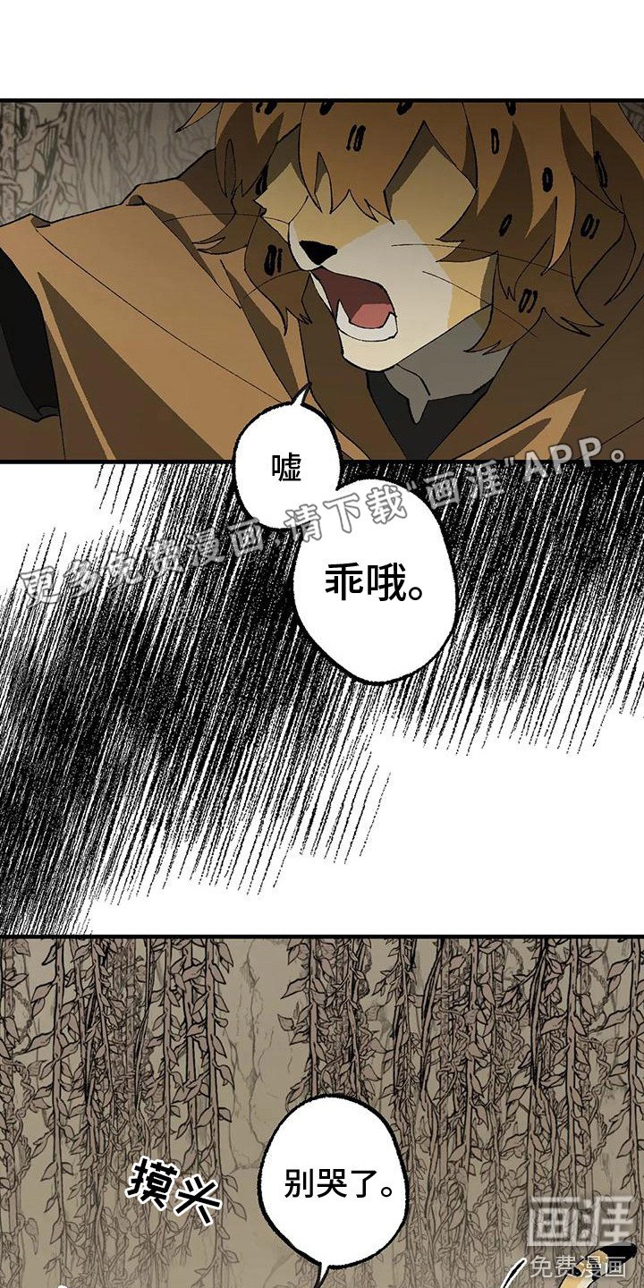 第18章：老师