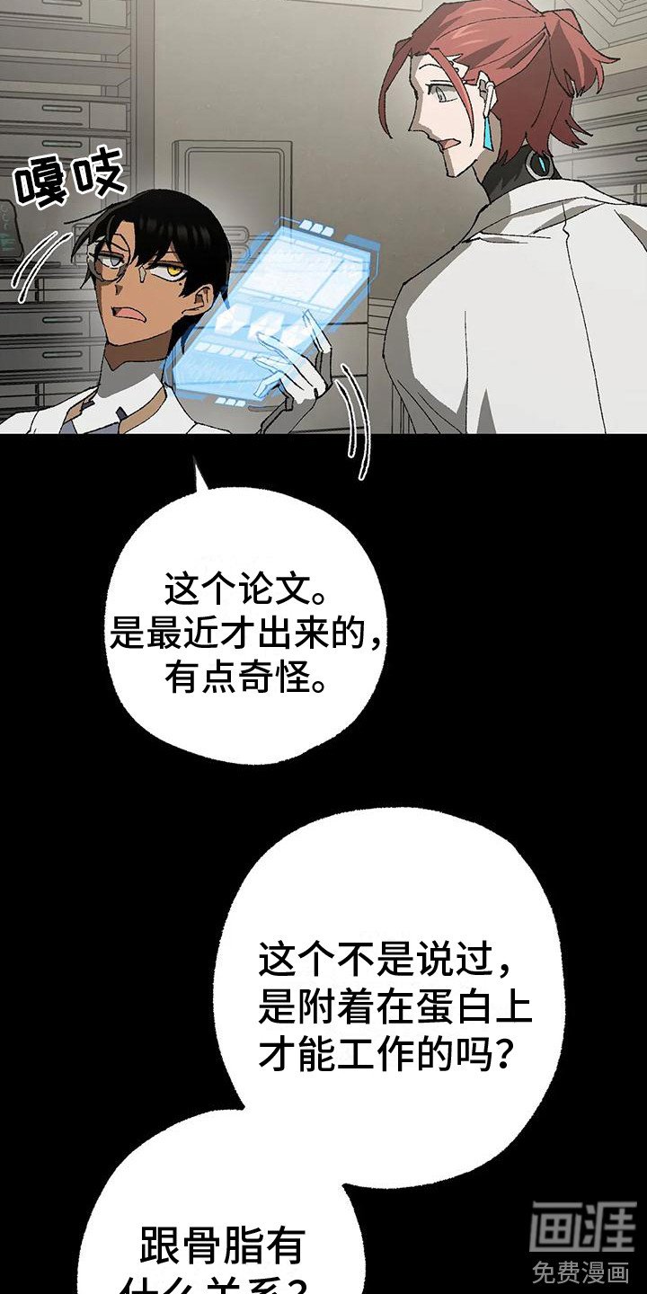 第19章：绝密资料