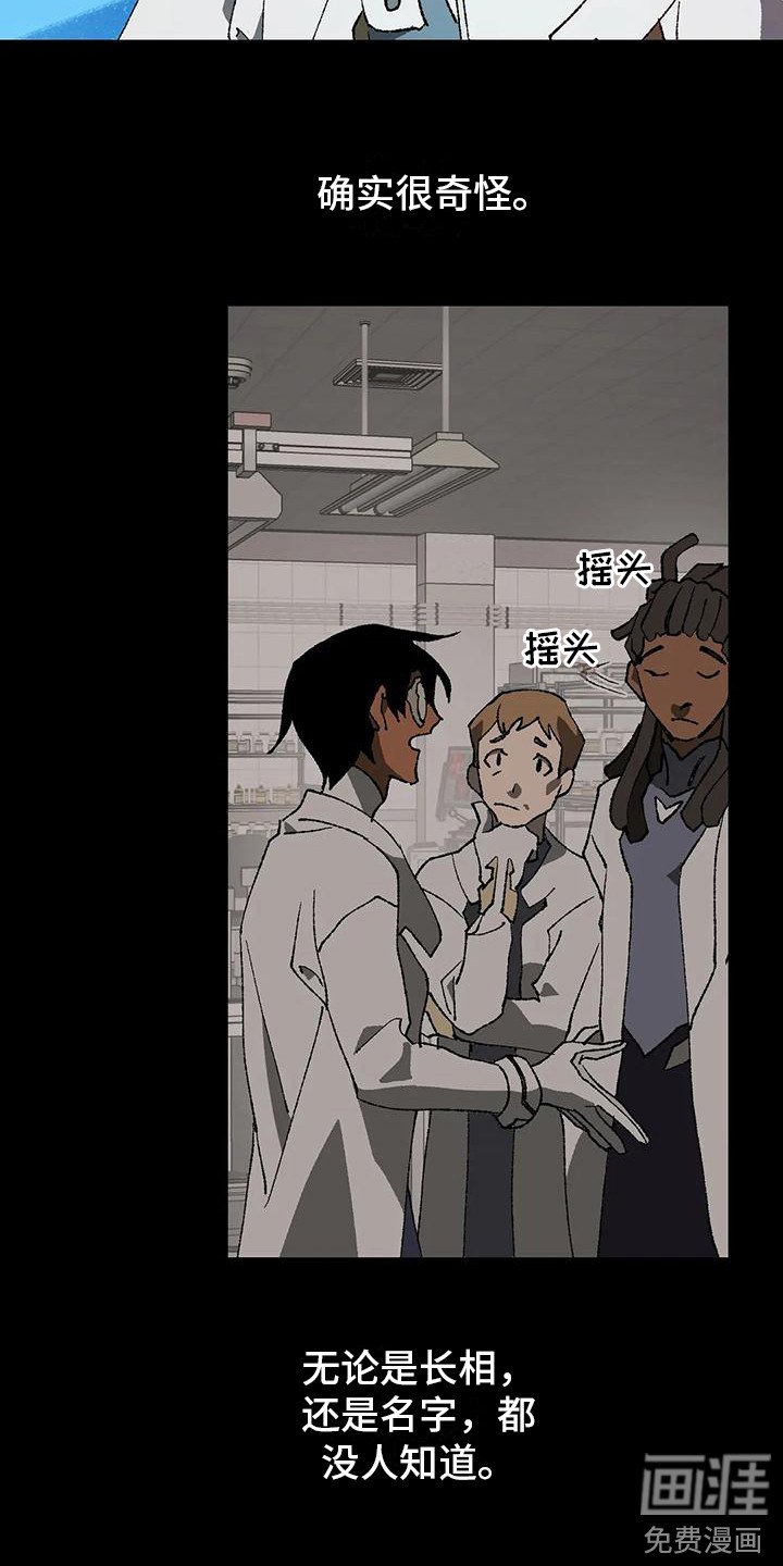 第19章：绝密资料