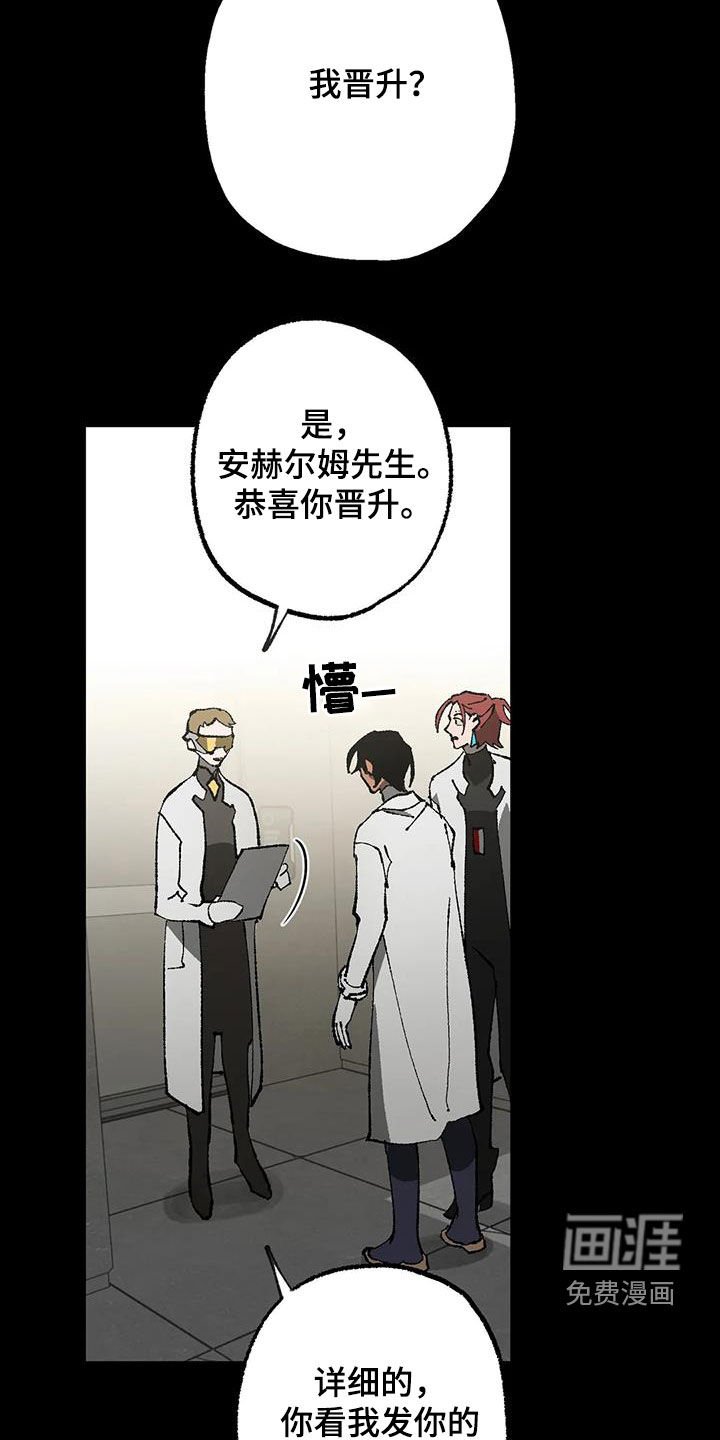 第20章：晋升与限制