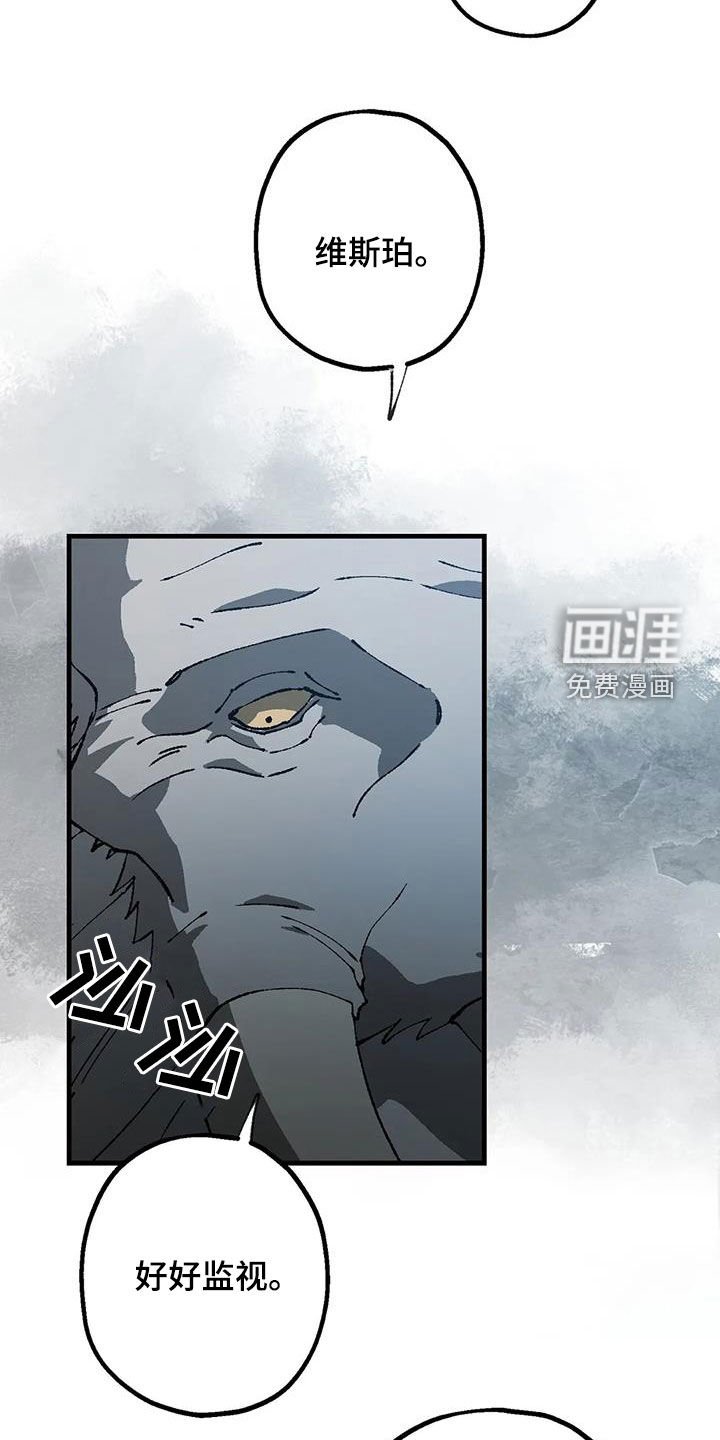 第22章：丛林的尽头