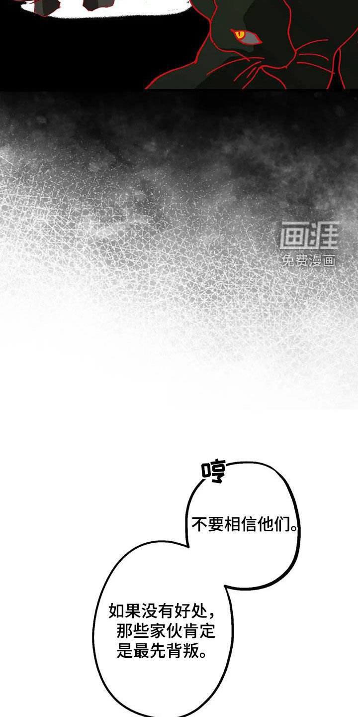 第28章：丛林守护