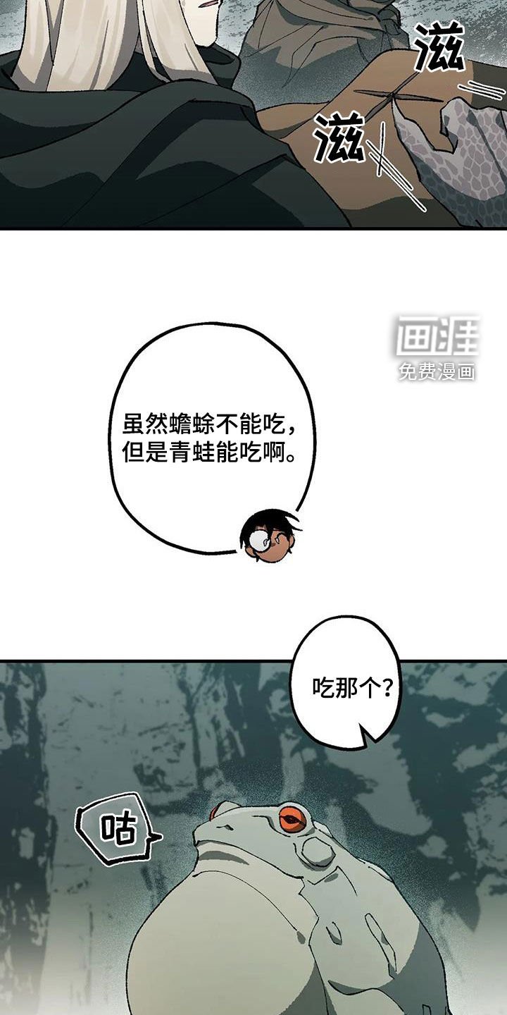 第28章：丛林守护