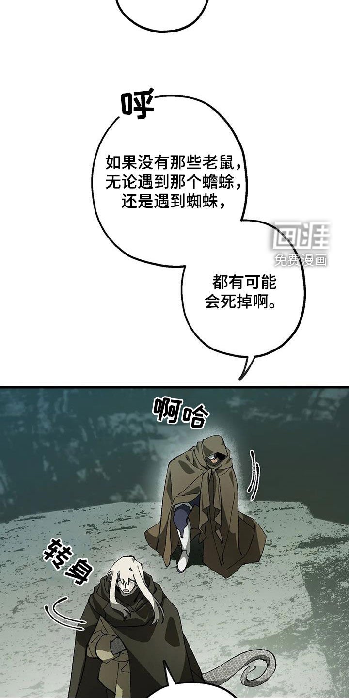 第28章：丛林守护