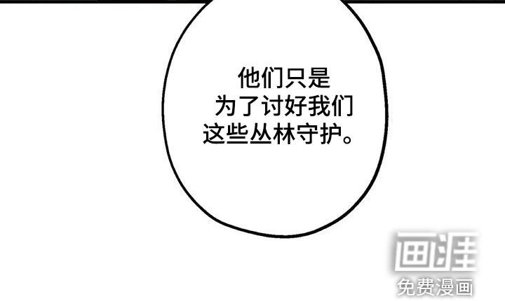 第28章：丛林守护