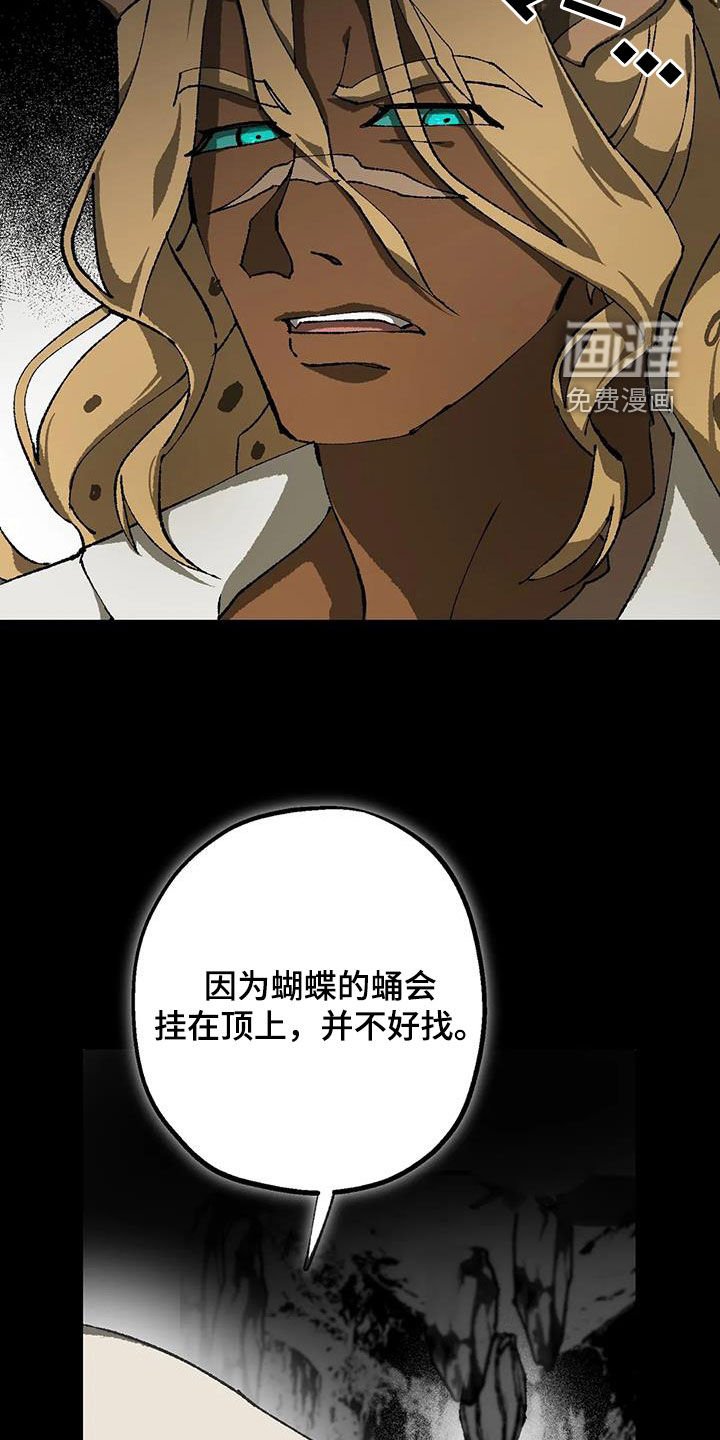 第31章：警告