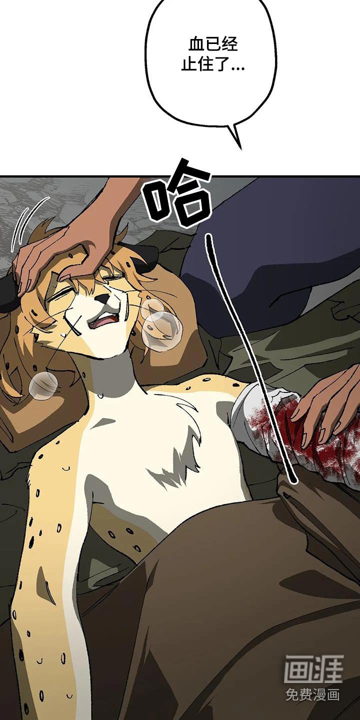 第35章：疯狂
