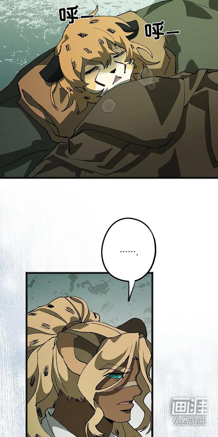 第38章：成分