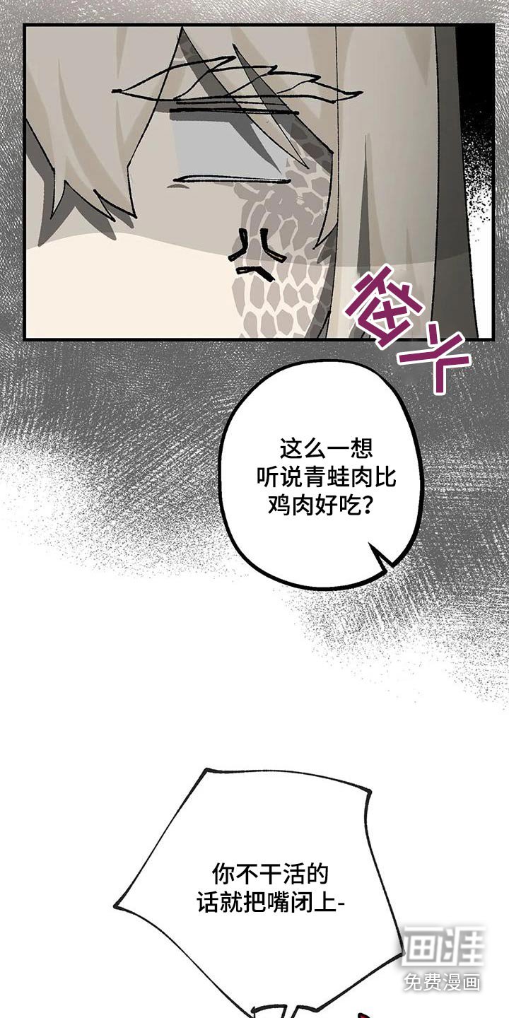 第38章：成分