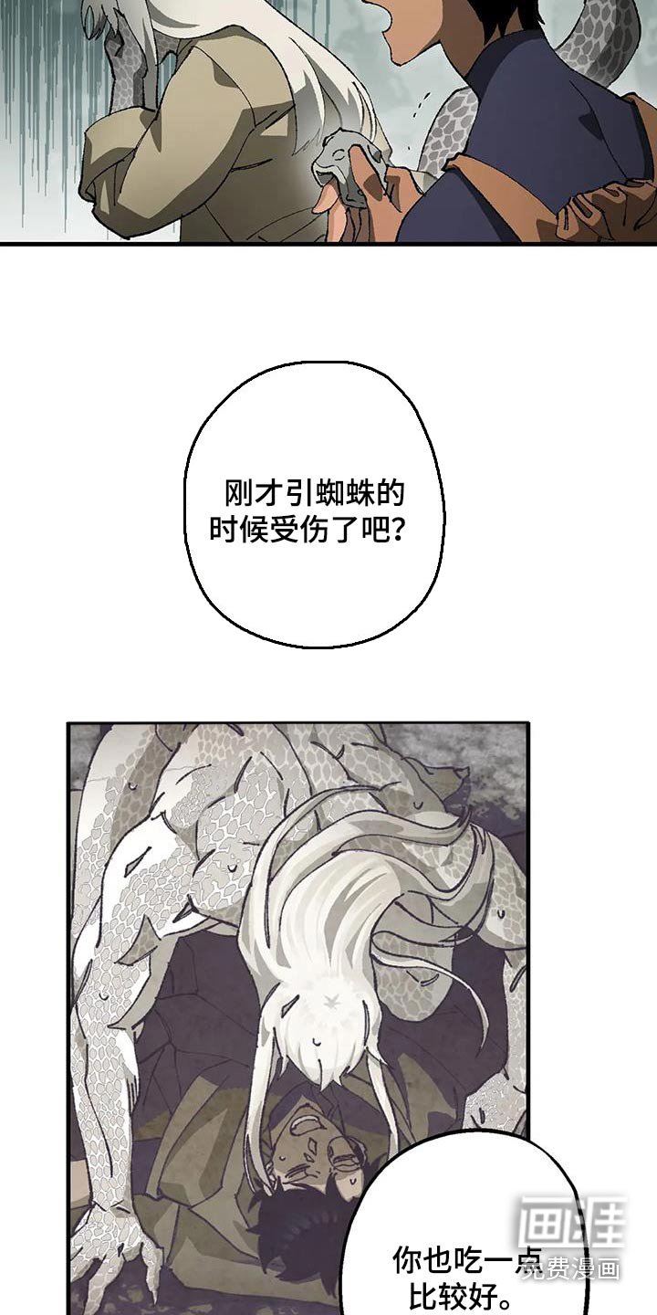 第38章：成分
