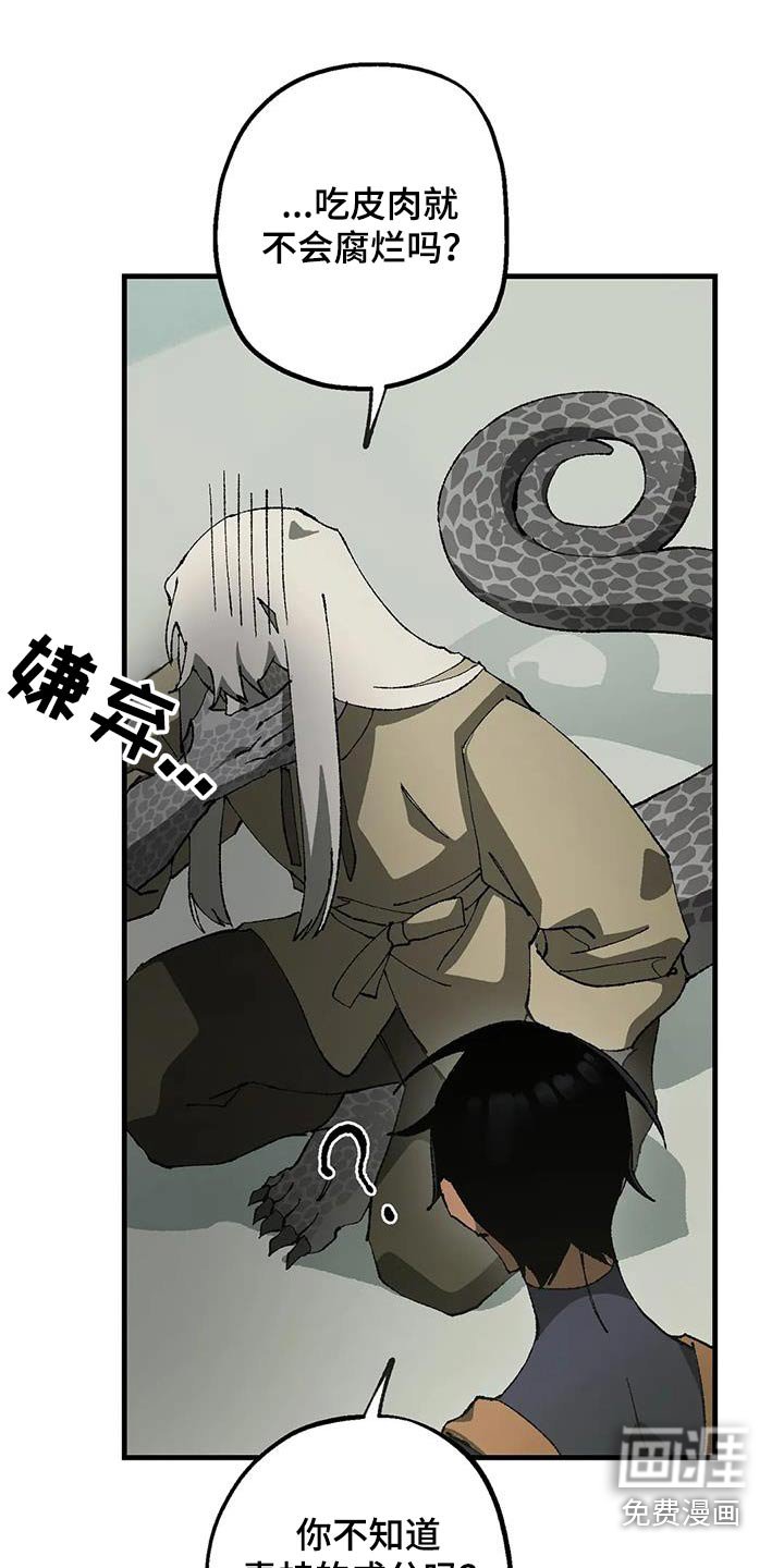 第38章：成分