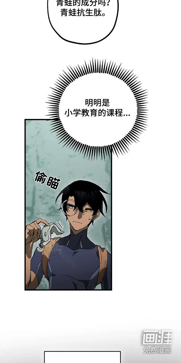 第38章：成分