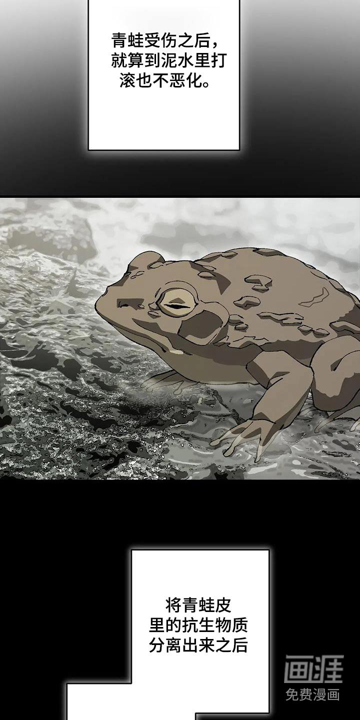 第38章：成分