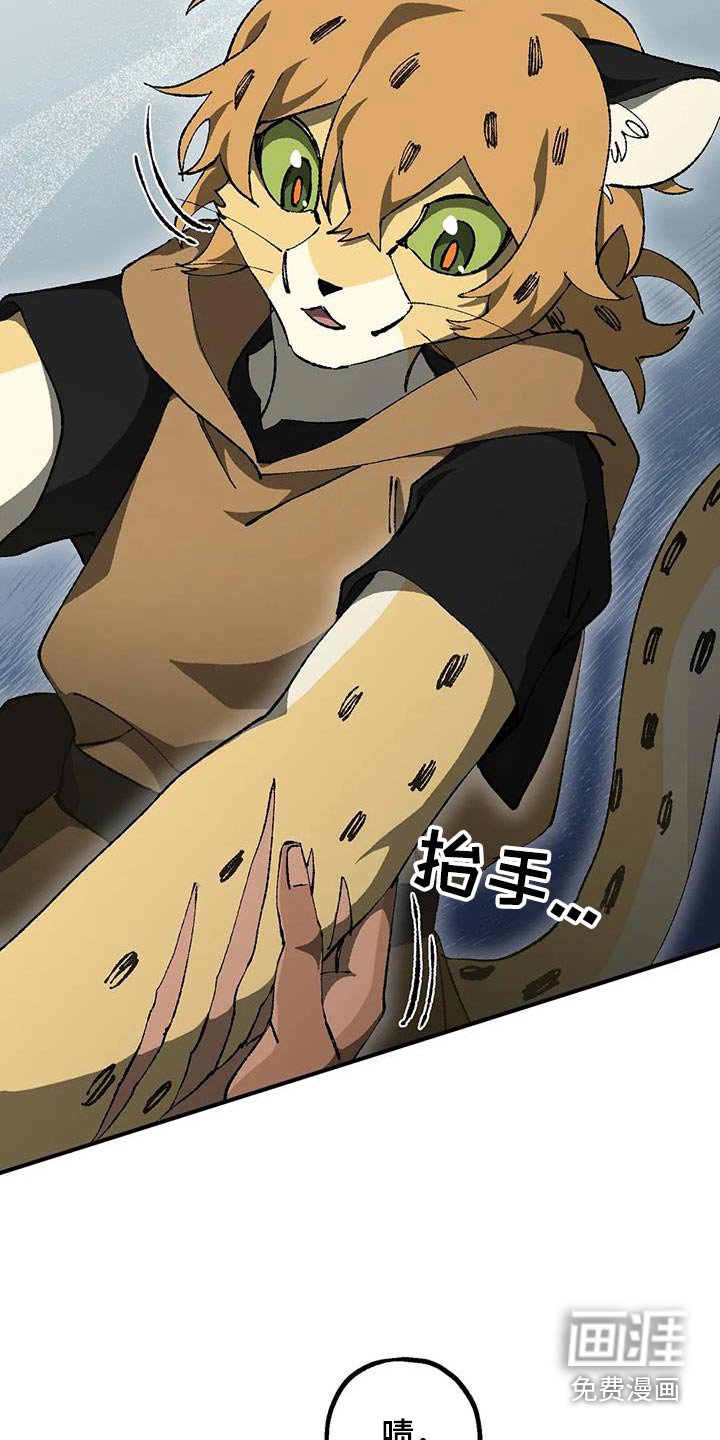 第40章：帮忙