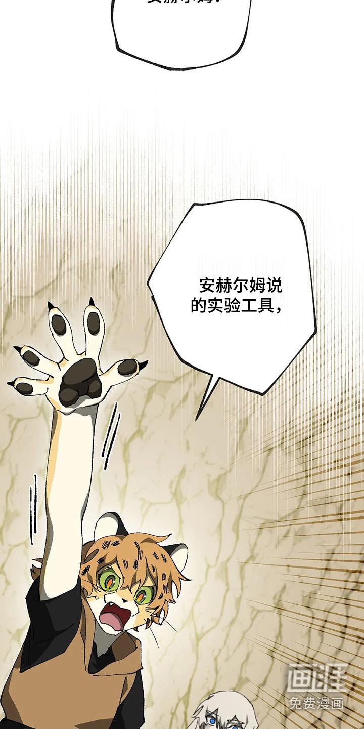 第41章：工具
