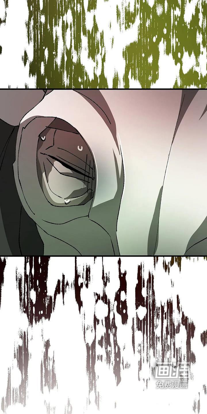 第51章：走不动了