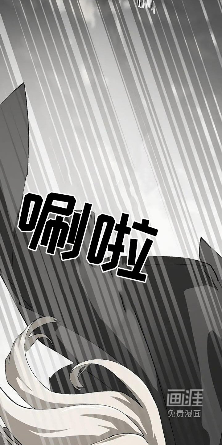 第52章：沼泽鳄鱼