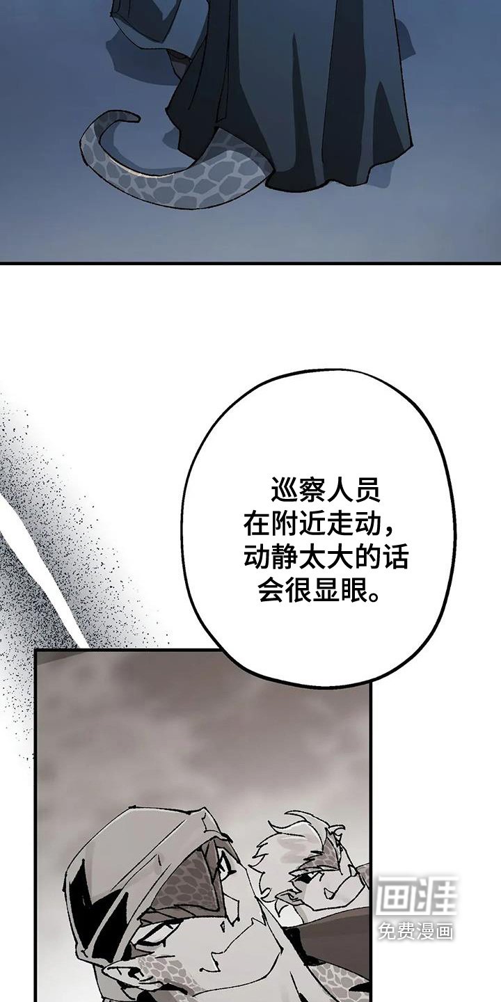 第54章：开始行动了