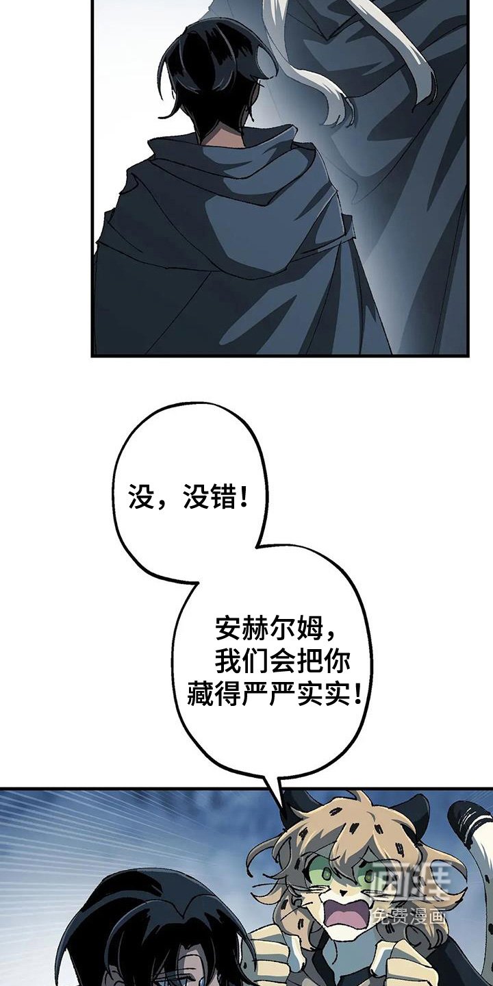 第54章：开始行动了
