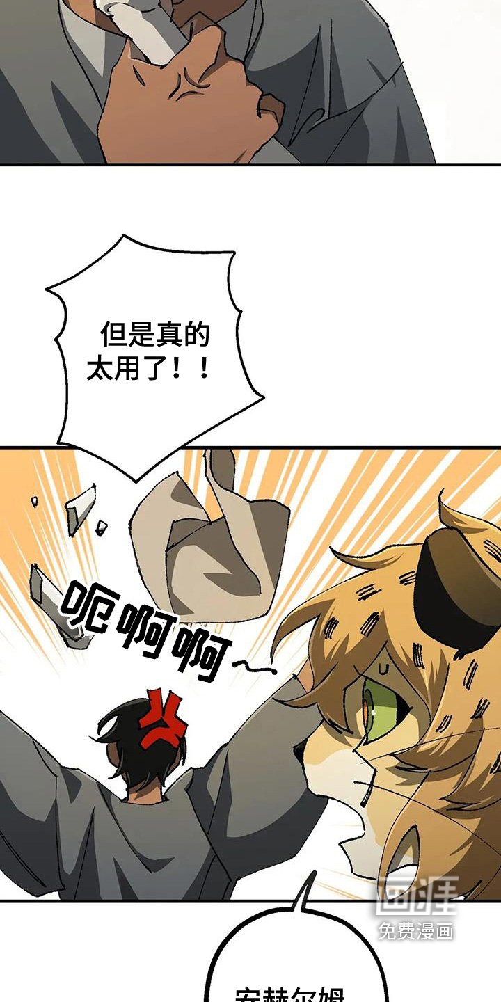 第54章：开始行动了
