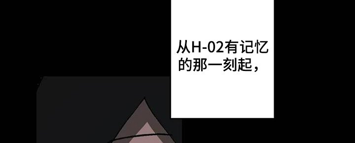 第63章：到底是什么