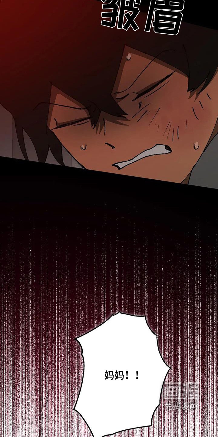 第66章：维护我