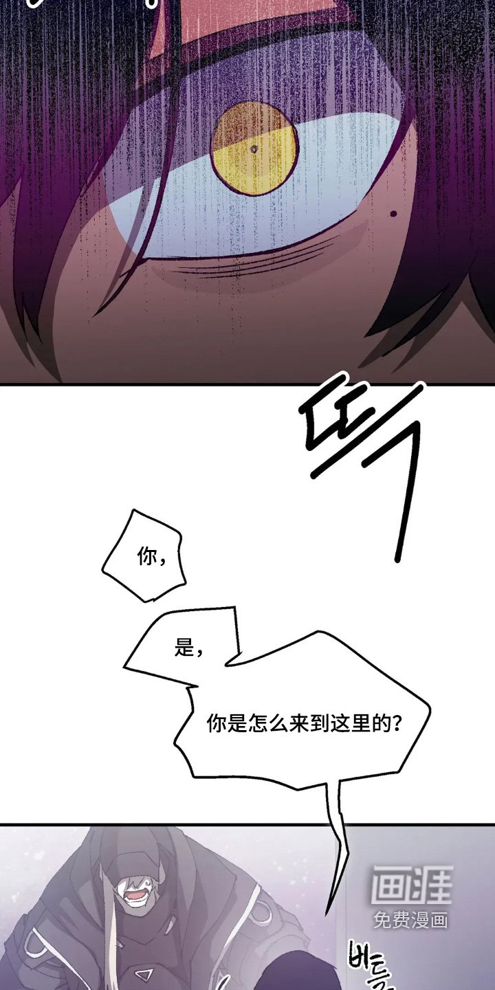 第74章：跳下