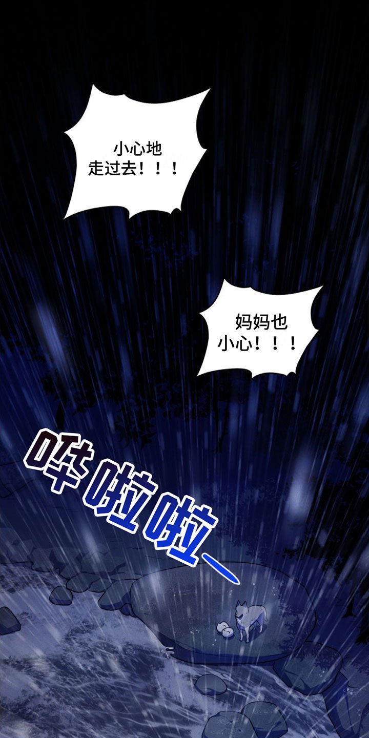 第1章：兔子救狼