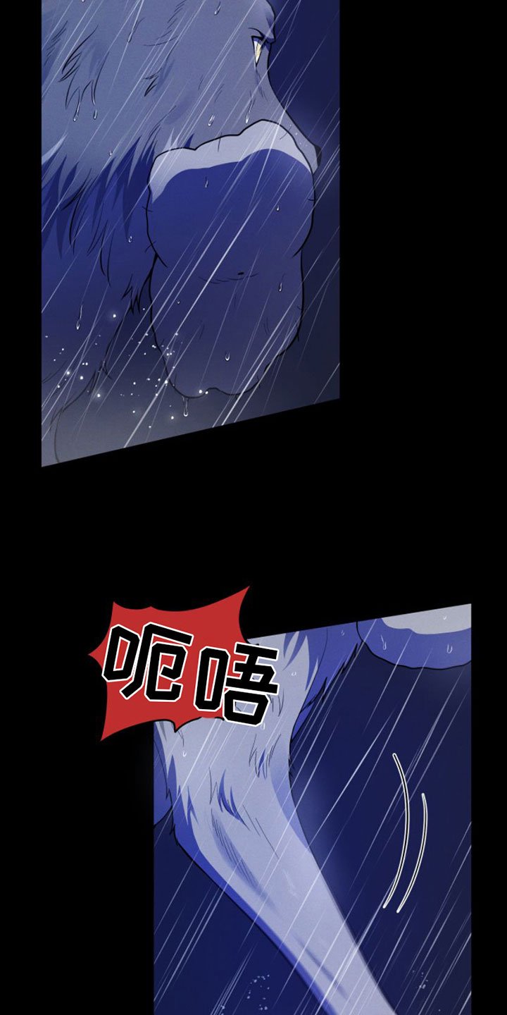 第1章：兔子救狼