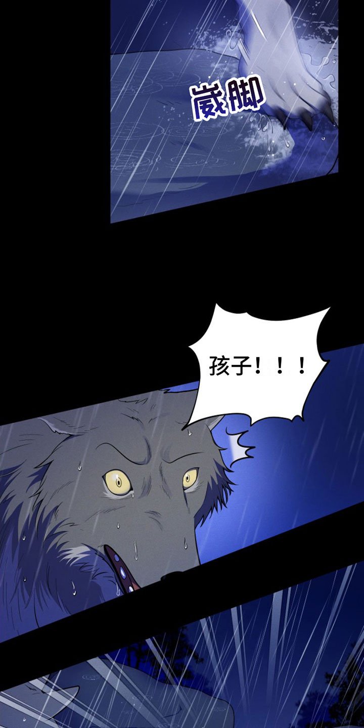第1章：兔子救狼