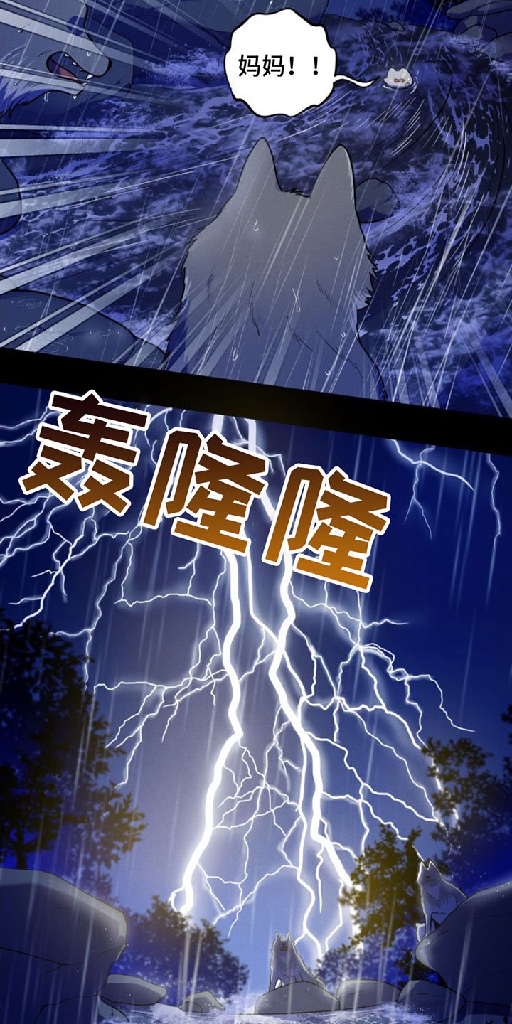 第1章：兔子救狼